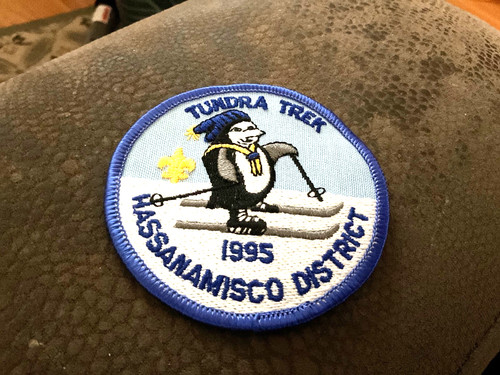 Boy scout patch - scout, 1995